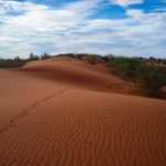 Le désert de Kalahari, un paradis pour les amoureux de la nature