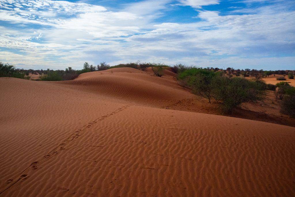 Le désert de Kalahari, un paradis pour les amoureux de la nature